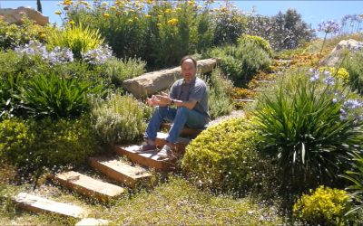 Entrevista con José Ignacio Villacampa Parte 3